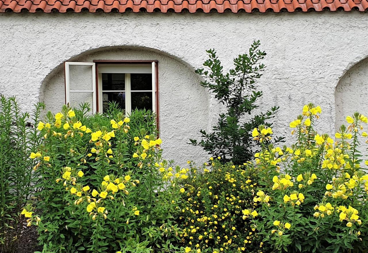 Apartment Garden Castle Prag
