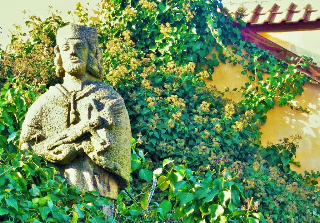 Garden Castle Apartment