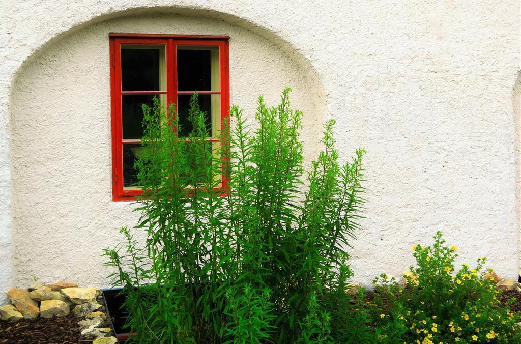 Garden Castle Apartment Prag